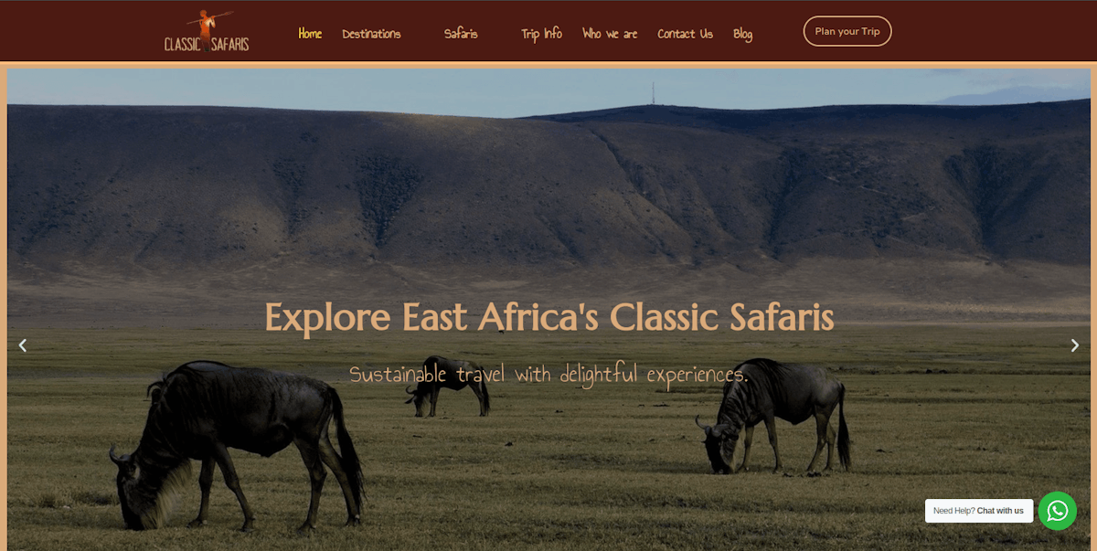 Unleashing Timeless Adventures in East Africa